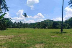 𝐕𝐄𝐑𝐃𝐀𝐍𝐓 𝐄𝐒𝐓𝐀𝐓𝐄 𝐋𝐎𝐓 𝐅𝐎𝐑 𝐒𝐀𝐋𝐄