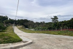 LOTS FOR SALE IN CASILI GROVE - Brgy. Casili, Mandaue City
